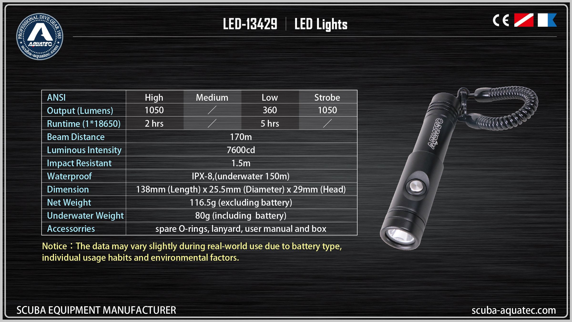 백업 다이브 라이트