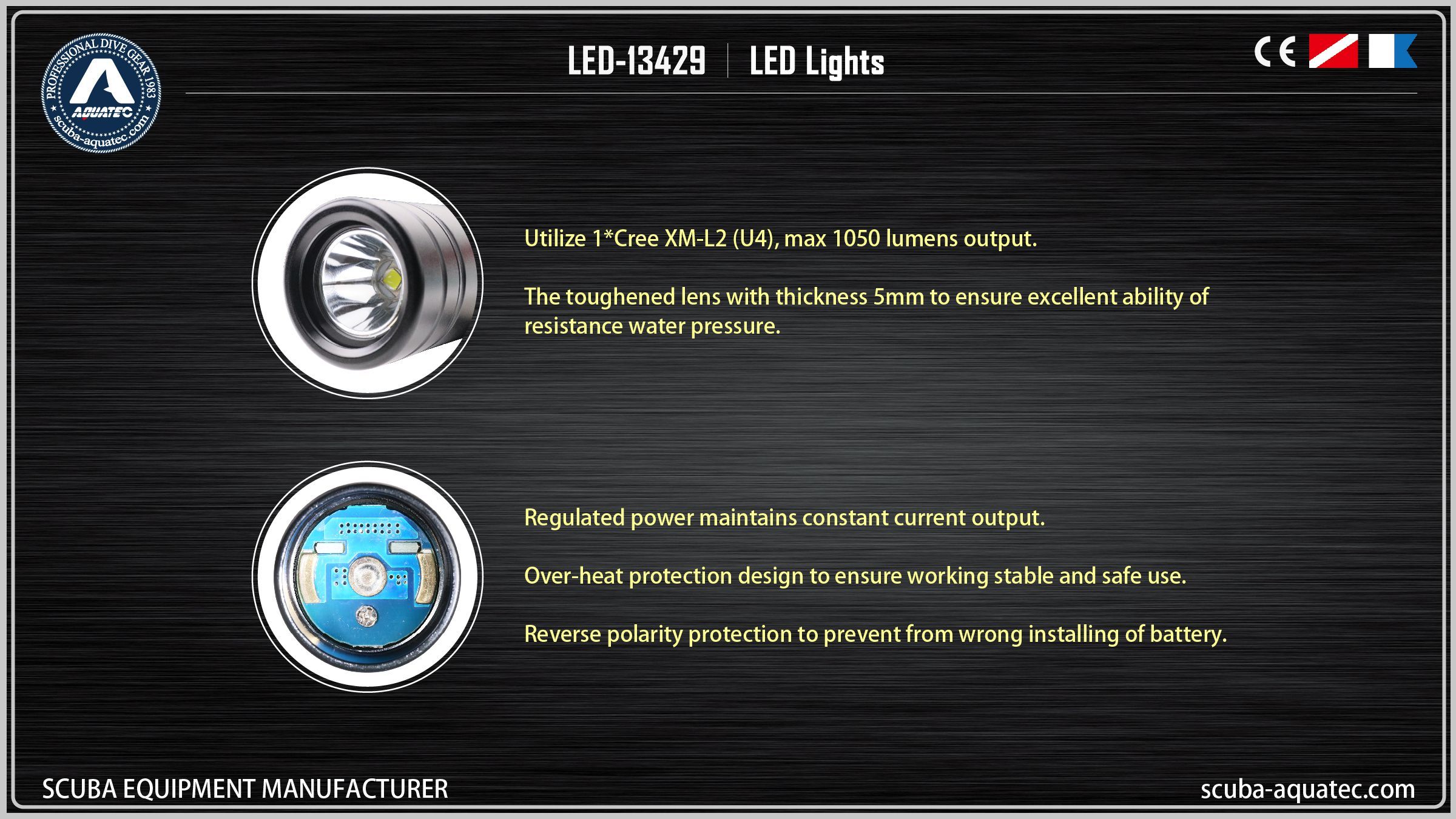 백업 다이브 라이트