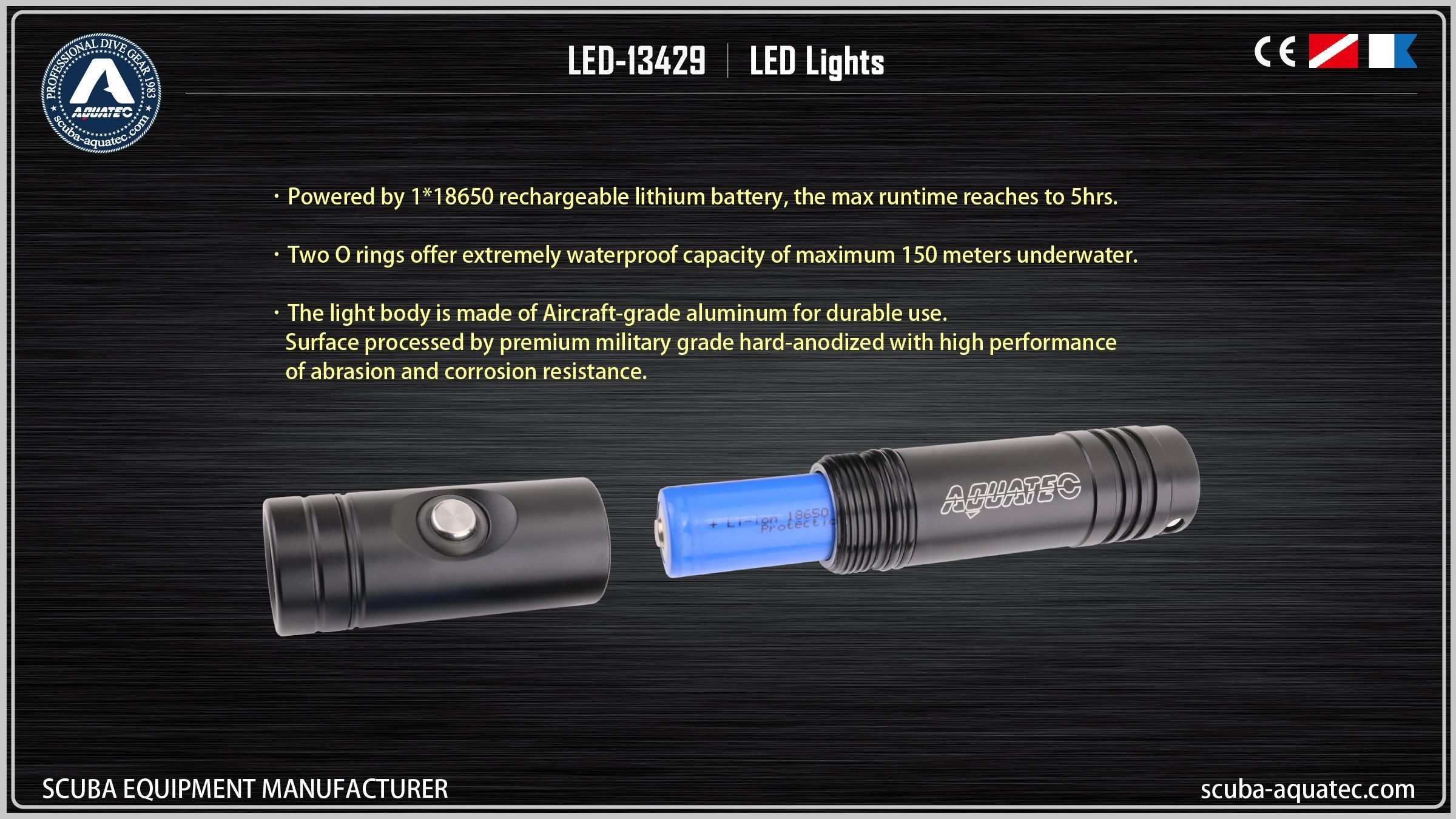 백업 다이브 라이트