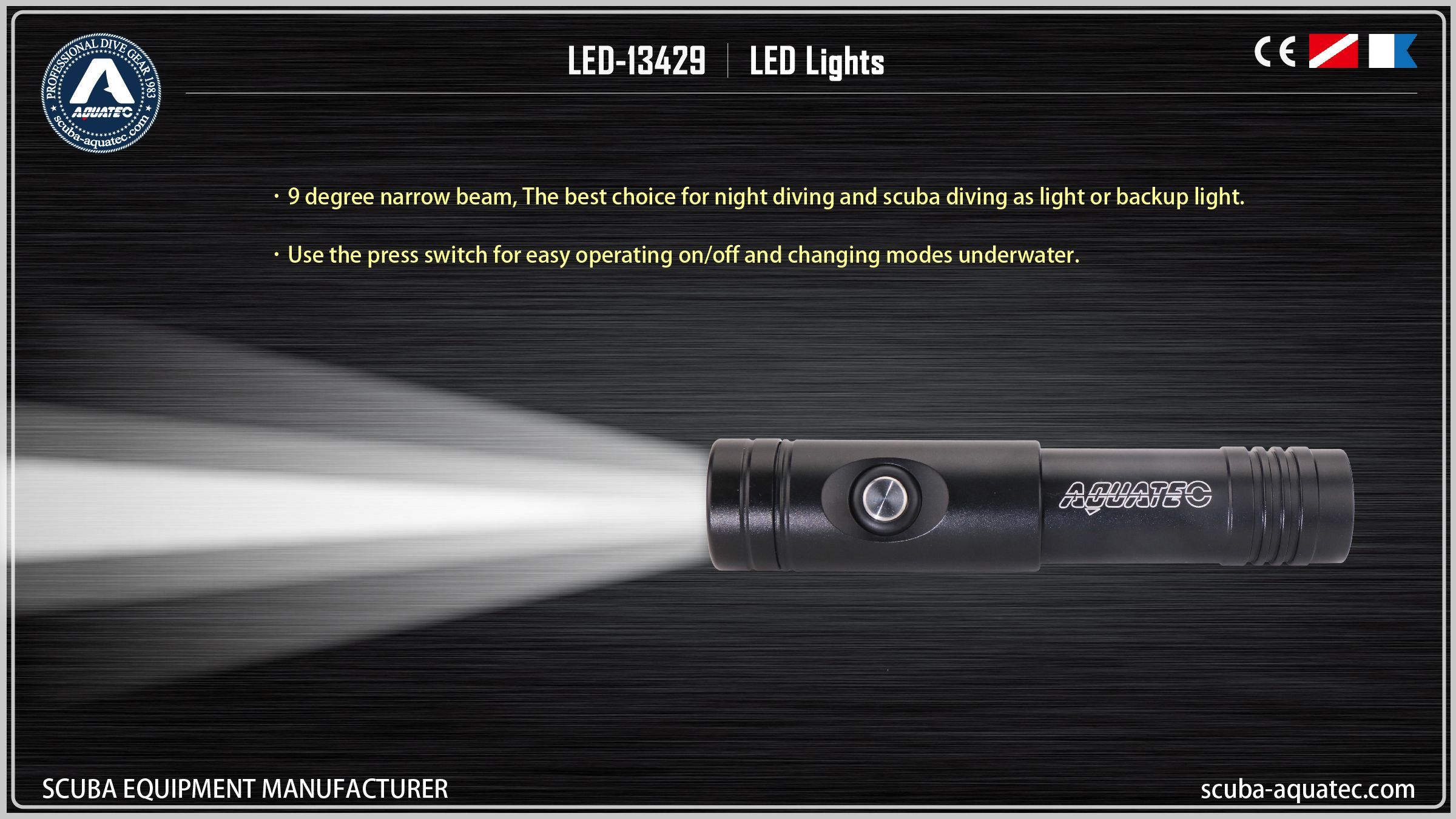 백업 다이브 라이트