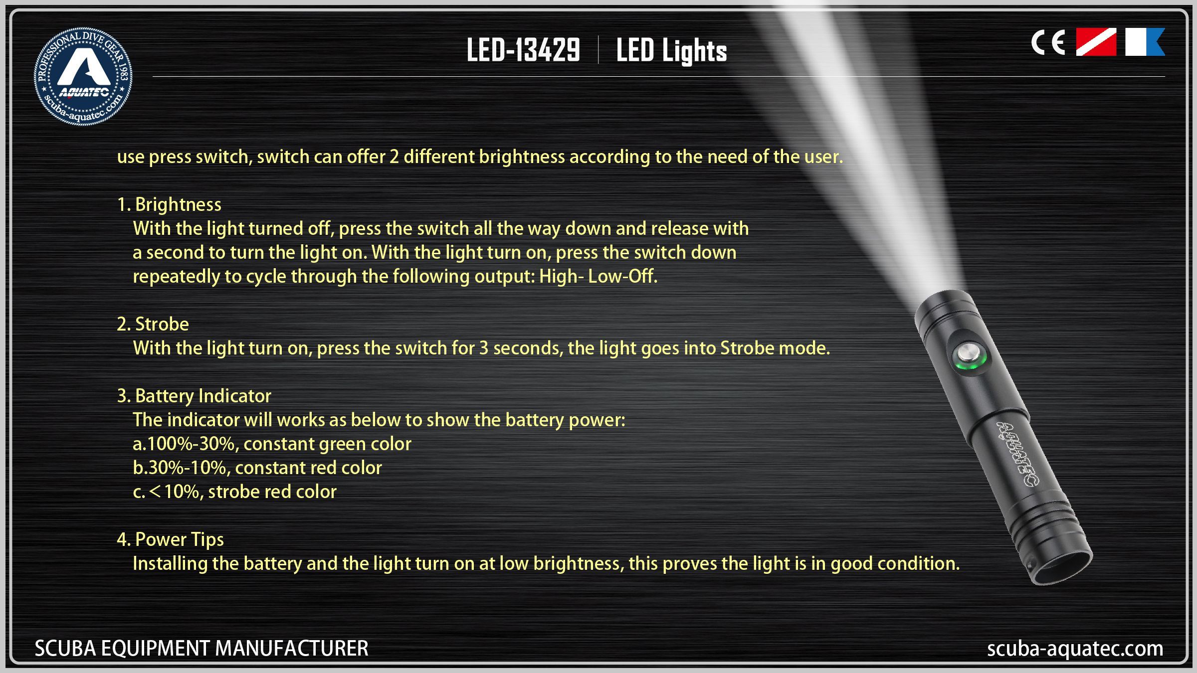 백업 다이브 라이트