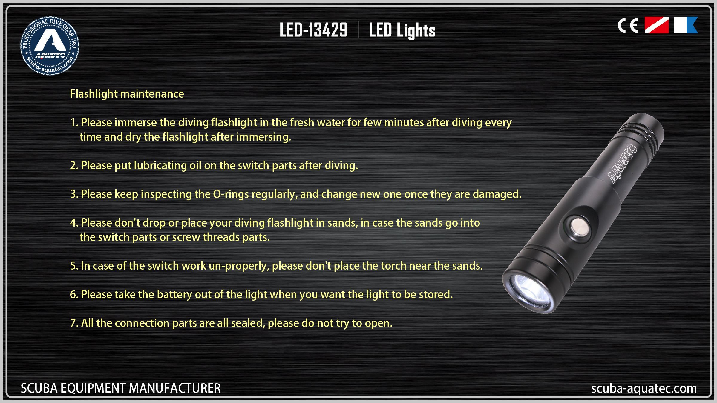 백업 다이브 라이트