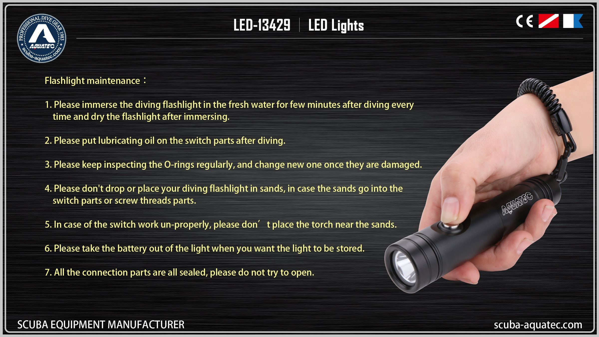 백업 다이브 라이트