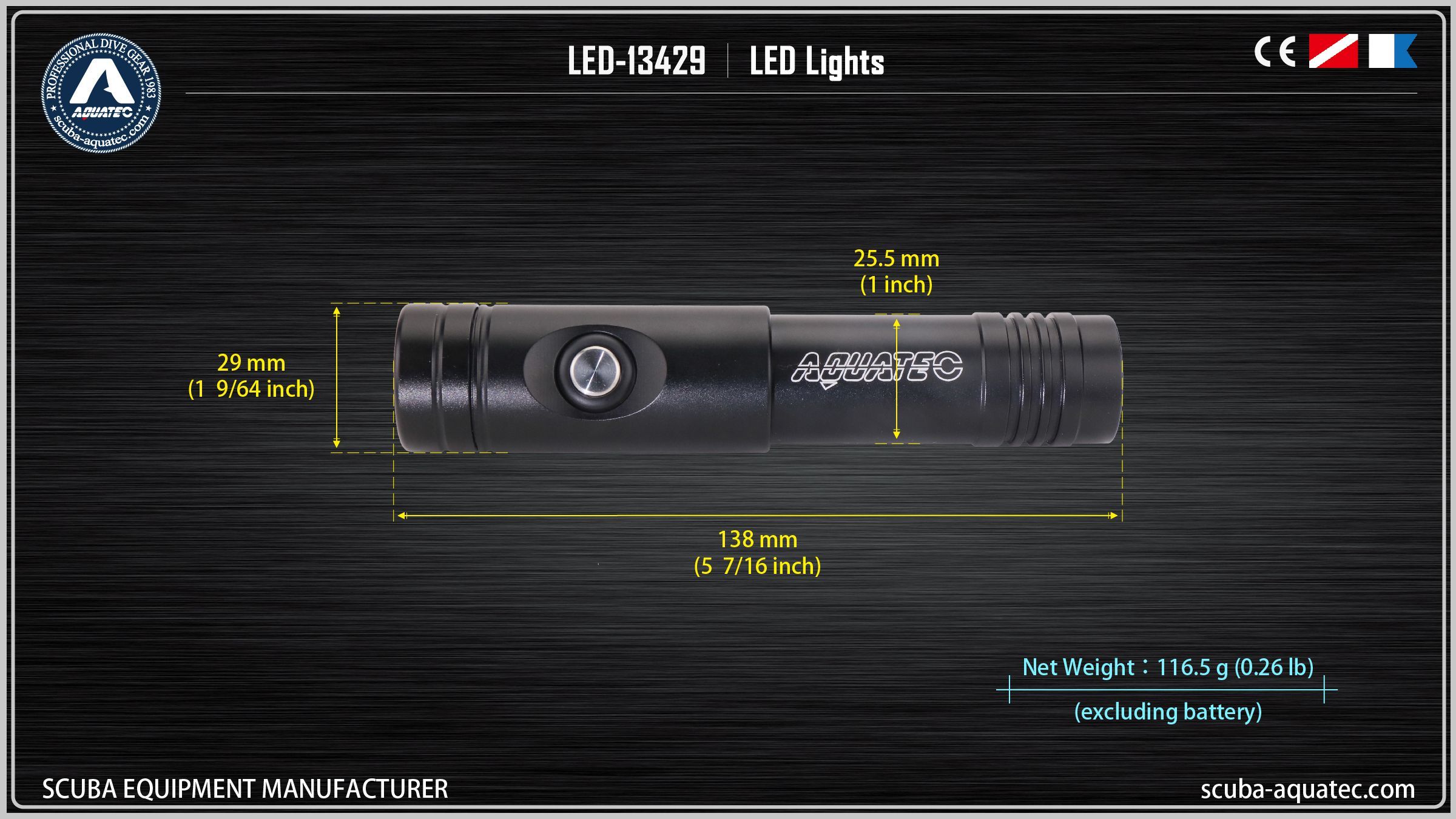 백업 다이브 라이트