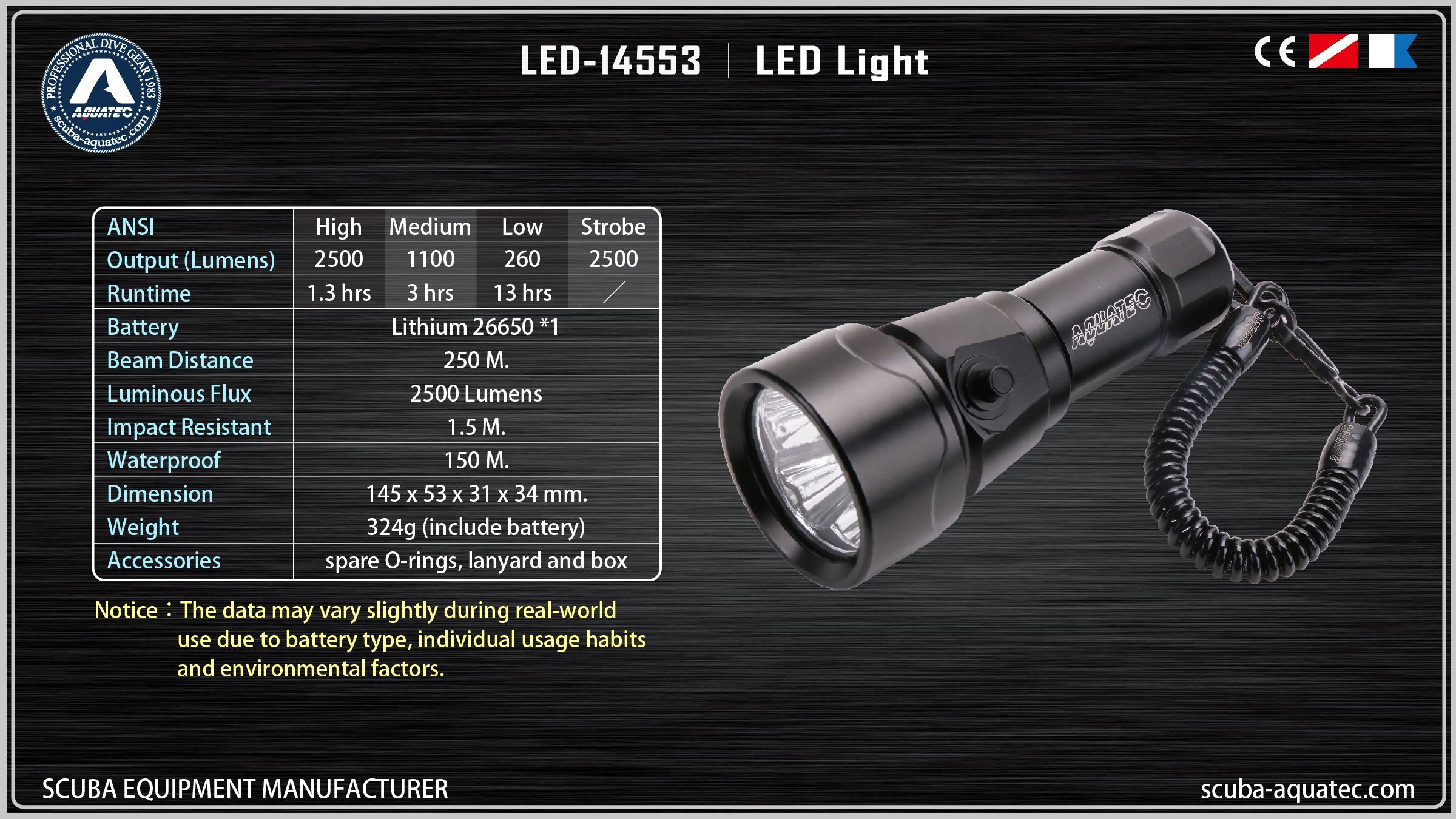 백업 다이브 라이트