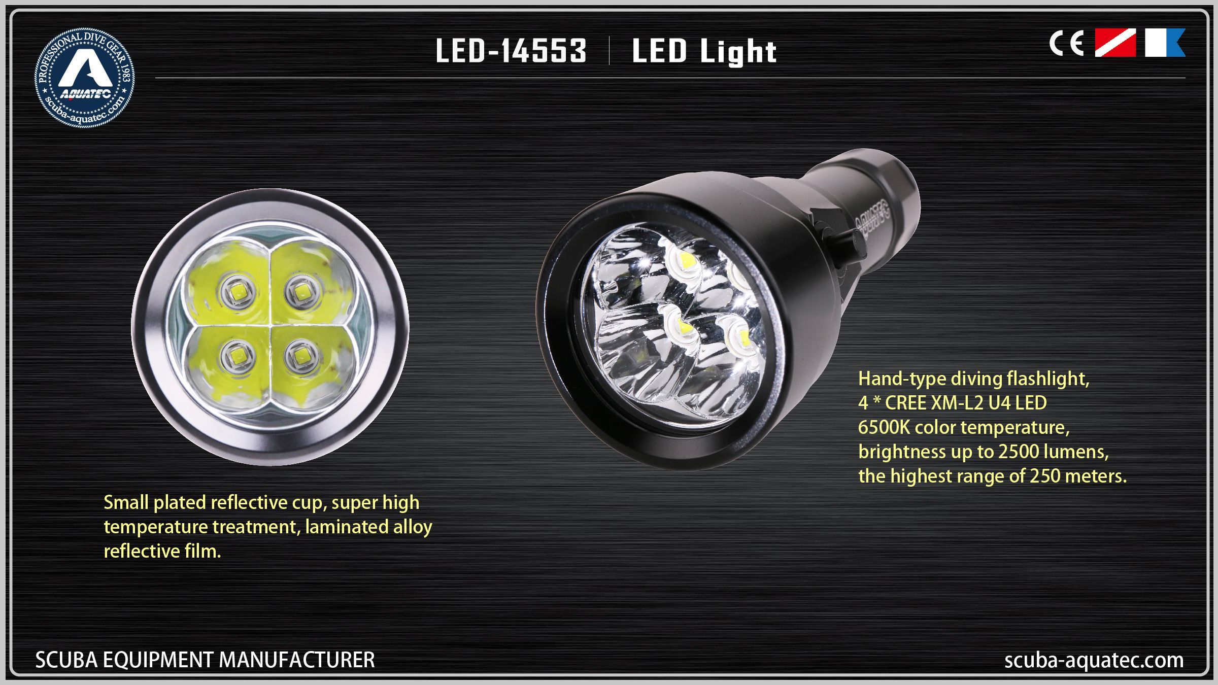 백업 다이브 라이트