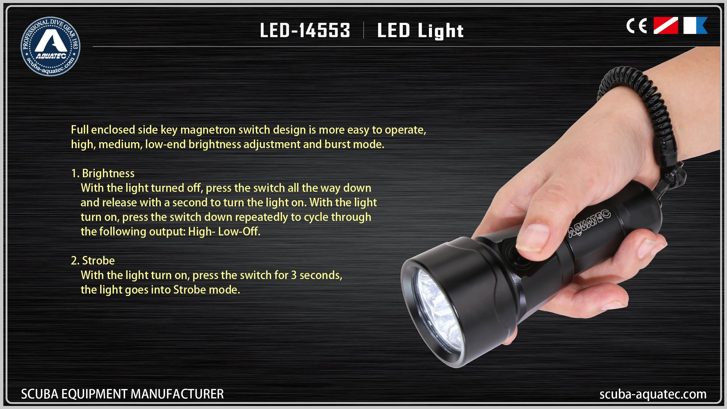 백업 다이브 라이트