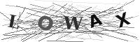 Please refresh your browser to see this image.